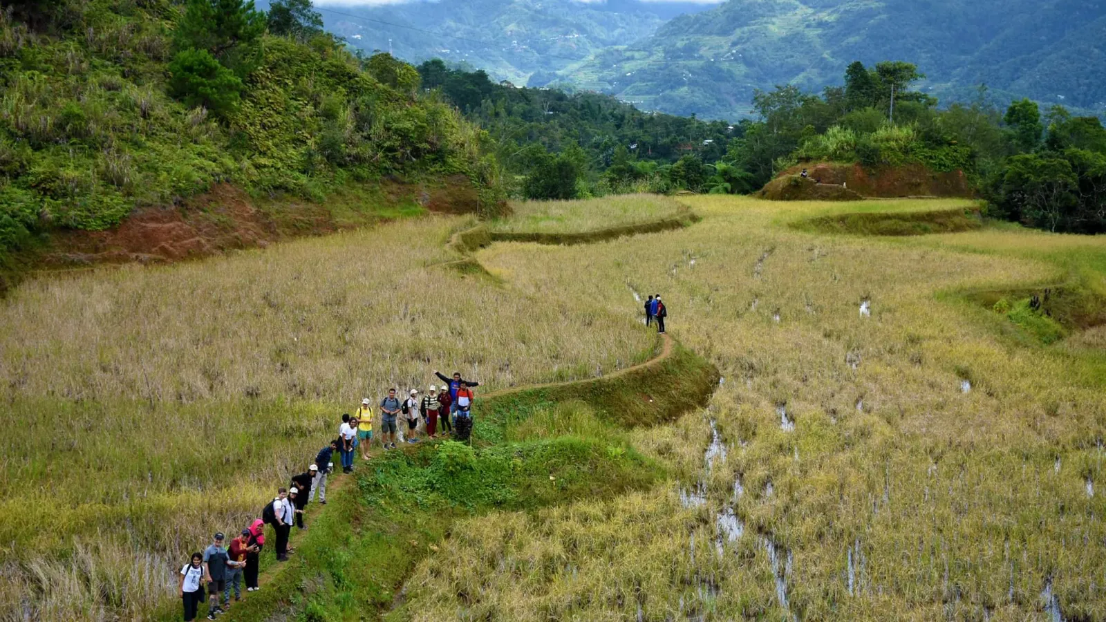 Researchers in the rice terraces of Banaue