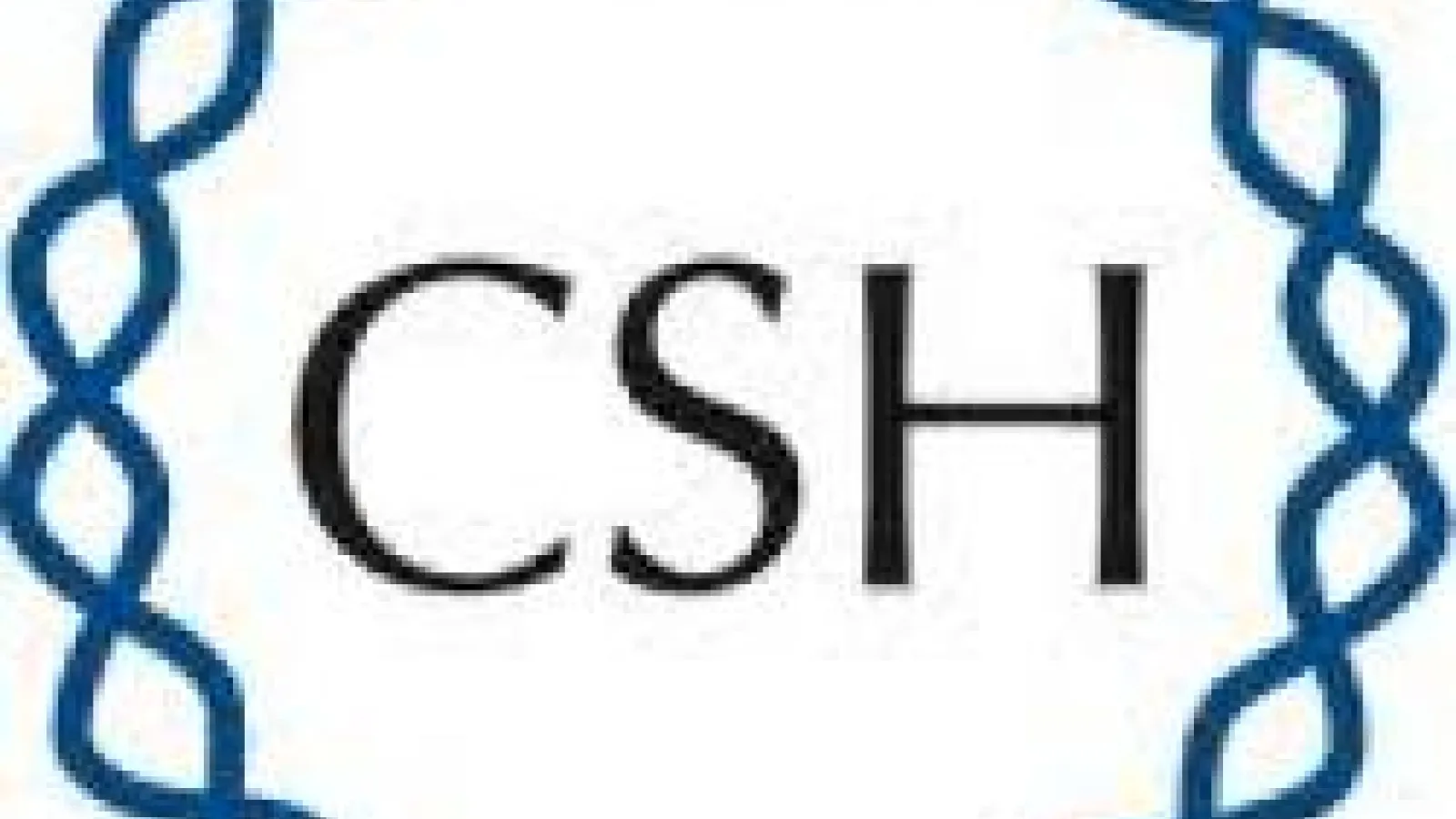 CHS logo
